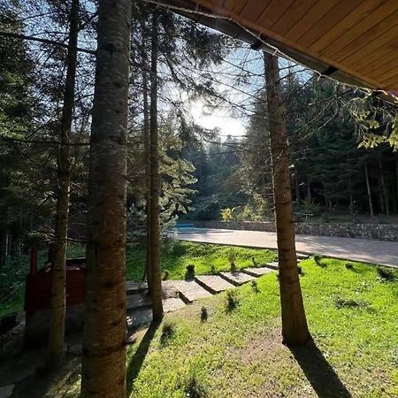 Ялинка Βίλα Migovo Εξωτερικό φωτογραφία